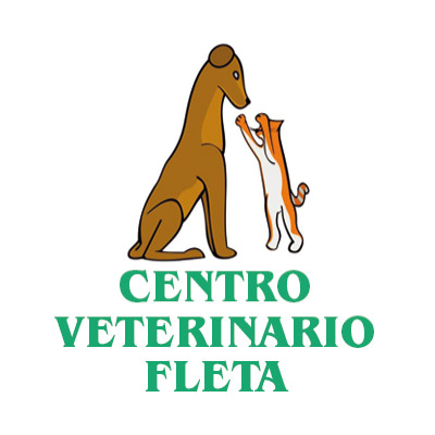 veterinarios centro veterinario fleta