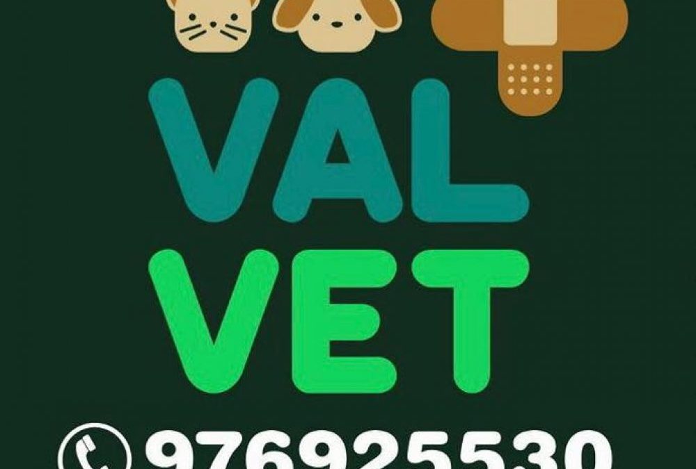 CENTRO VETERINARIO VALVET